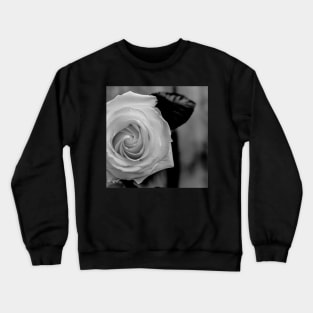 Rose B&W Crewneck Sweatshirt